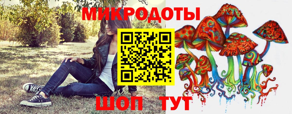 Псилоцибиновые грибы Psilocybine cubensis Ростов-на-Дону